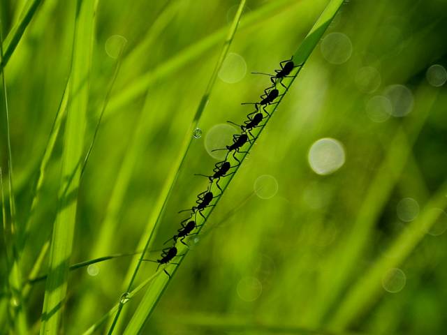 پکیج ترکیبی 